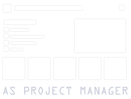 As Project Manager